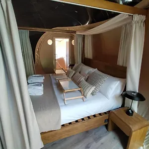 https://bungalows-bahia-de-avalos.in-canary-islands.com